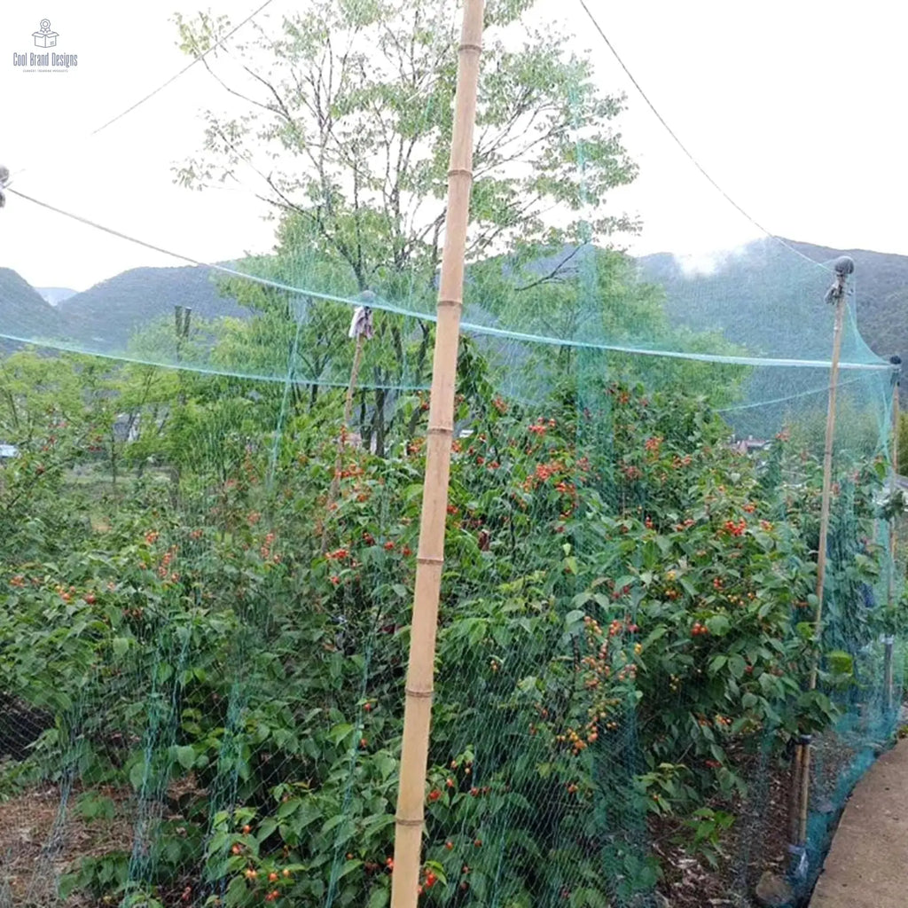 13 x 33ft Garden Netting Heavy Duty PE Anti Bird Netting Plants Fruits Tree Vegetables Protection Netting Net - Cool Brand Designs