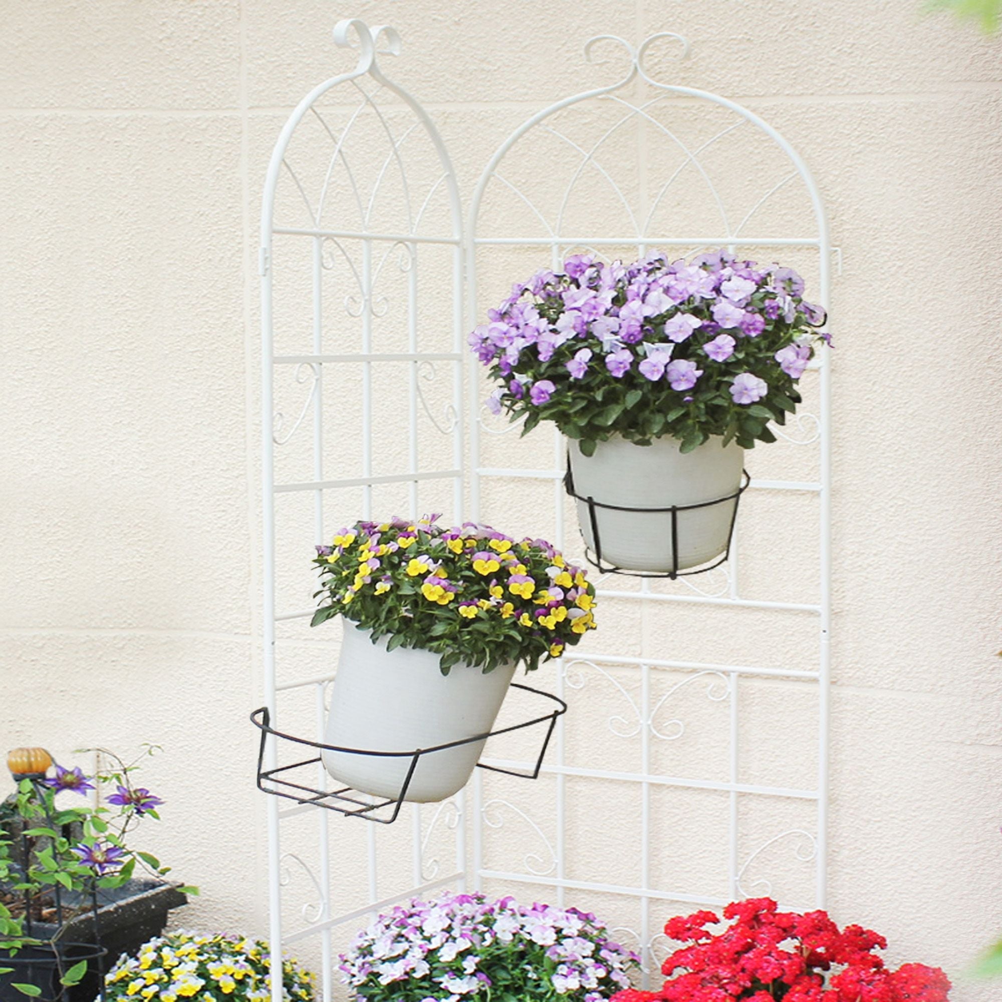 2 Pack Metal Garden Trellis 71" x 19.7" Rustproof Trellis for Climbing Plants Outdoor Flower Support - Cool Brand Designs