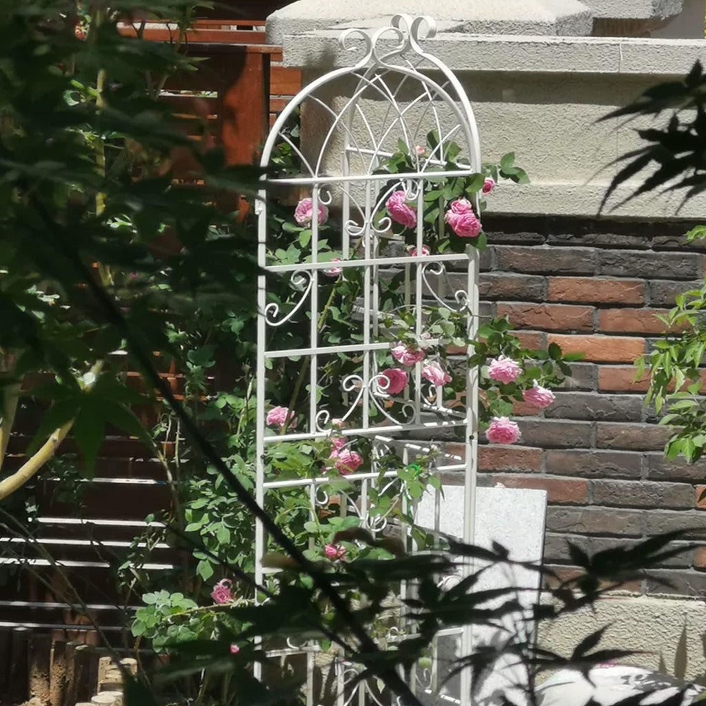 2 Pack Metal Garden Trellis 71" x 19.7" Rustproof Trellis for Climbing Plants Outdoor Flower Support - Cool Brand Designs
