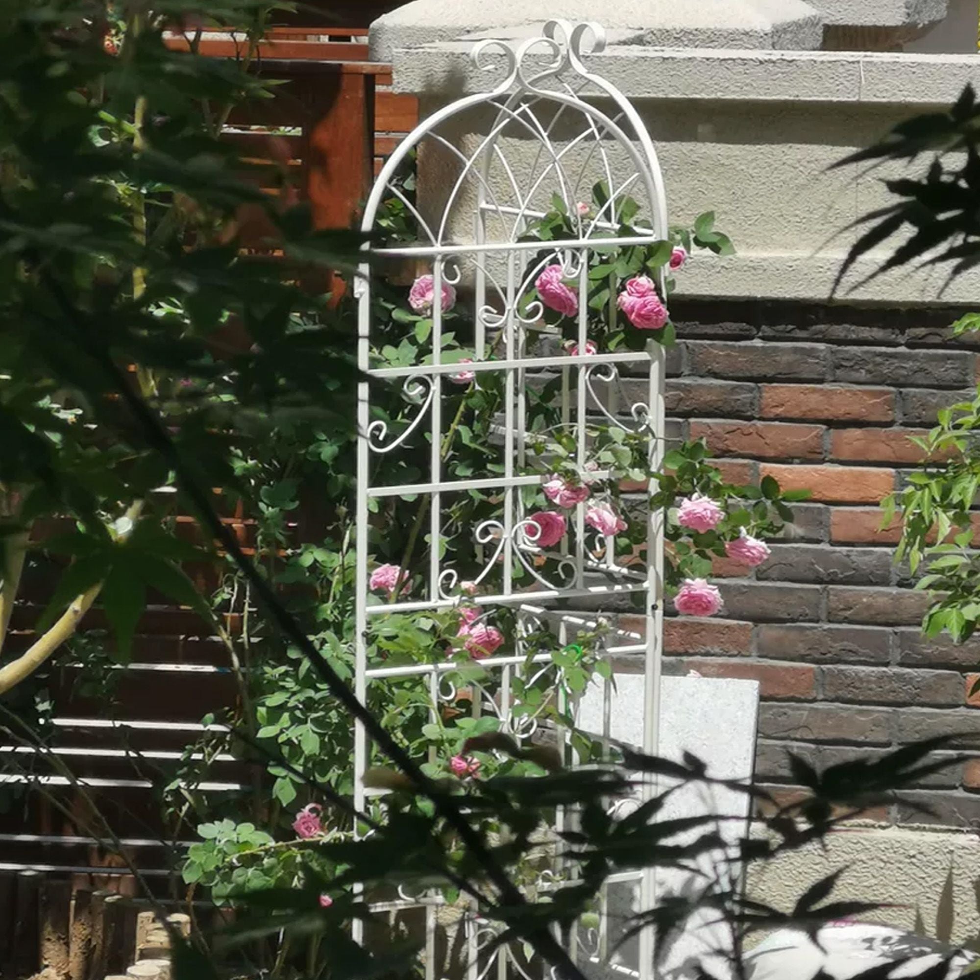 2 Pack Metal Garden Trellis 71" x 19.7" Rustproof Trellis for Climbing Plants Outdoor Flower Support - Cool Brand Designs