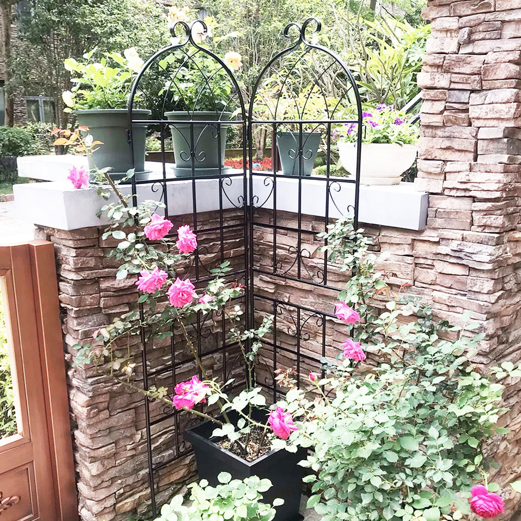 2 Pack Metal Garden Trellis 71" x 19.7" Rustproof Trellis for Climbing Plants Outdoor Flower Support - Cool Brand Designs