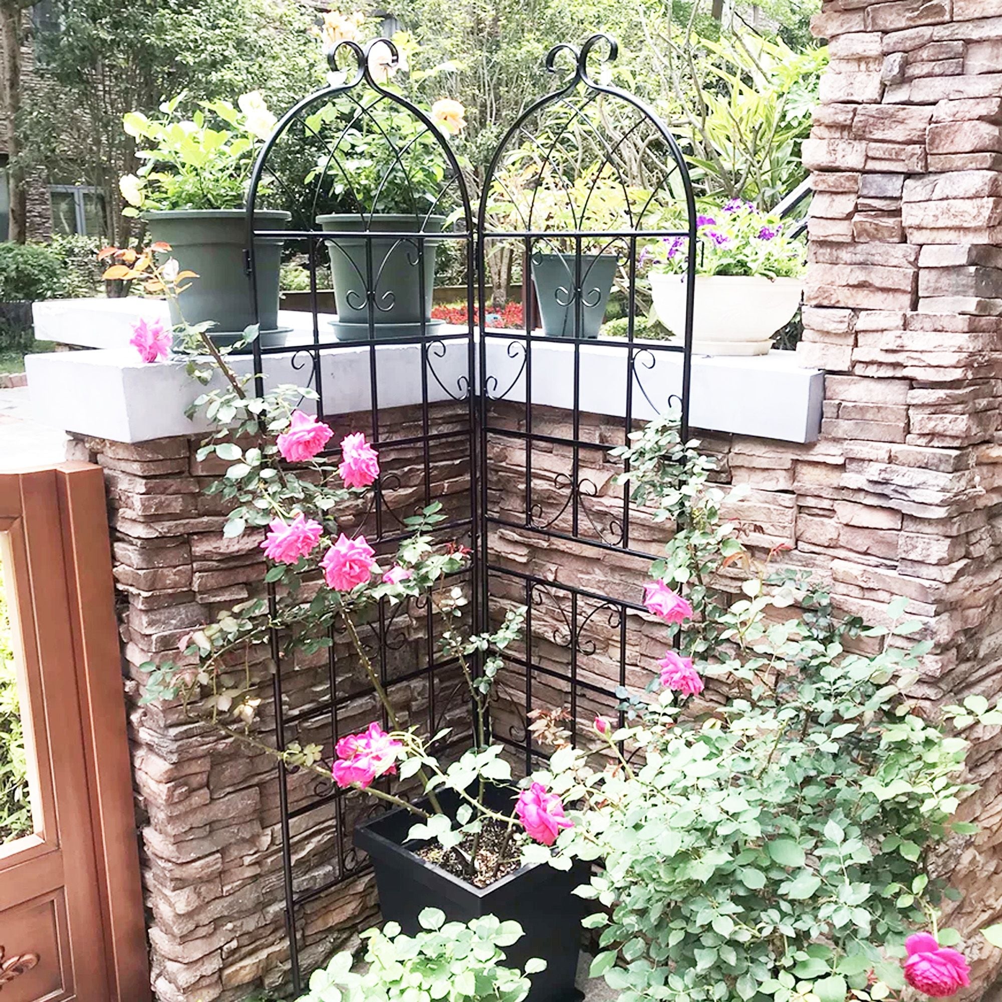 2 Pack Metal Garden Trellis 71" x 19.7" Rustproof Trellis for Climbing Plants Outdoor Flower Support - Cool Brand Designs
