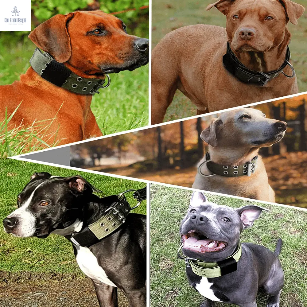 2" Wide Tactical Heavy Duty Nylon Large Dog Collar K9 Military With Metal Buckle - Cool Brand Designs