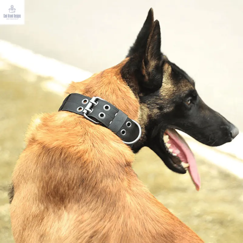 2" Wide Tactical Heavy Duty Nylon Large Dog Collar K9 Military With Metal Buckle - Cool Brand Designs