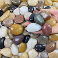 38lbs Decorative Garden Stone Outdoor Landscaping, Walkways, Yard, 1-3 inch Large Polished River Rocks for Plants Pots, Vases, Crafts - Cool Brand Designs