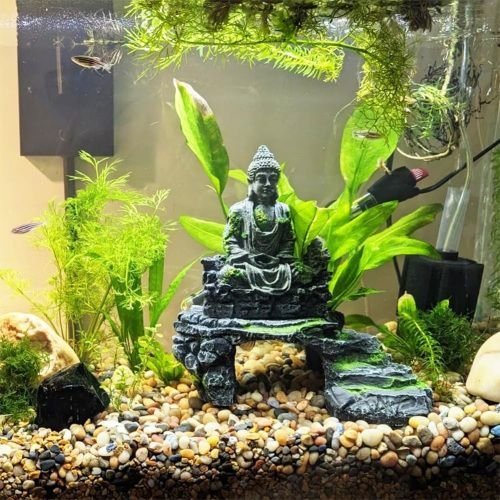 38lbs Decorative Garden Stone Outdoor Landscaping, Walkways, Yard, 1-3 inch Large Polished River Rocks for Plants Pots, Vases, Crafts - Cool Brand Designs
