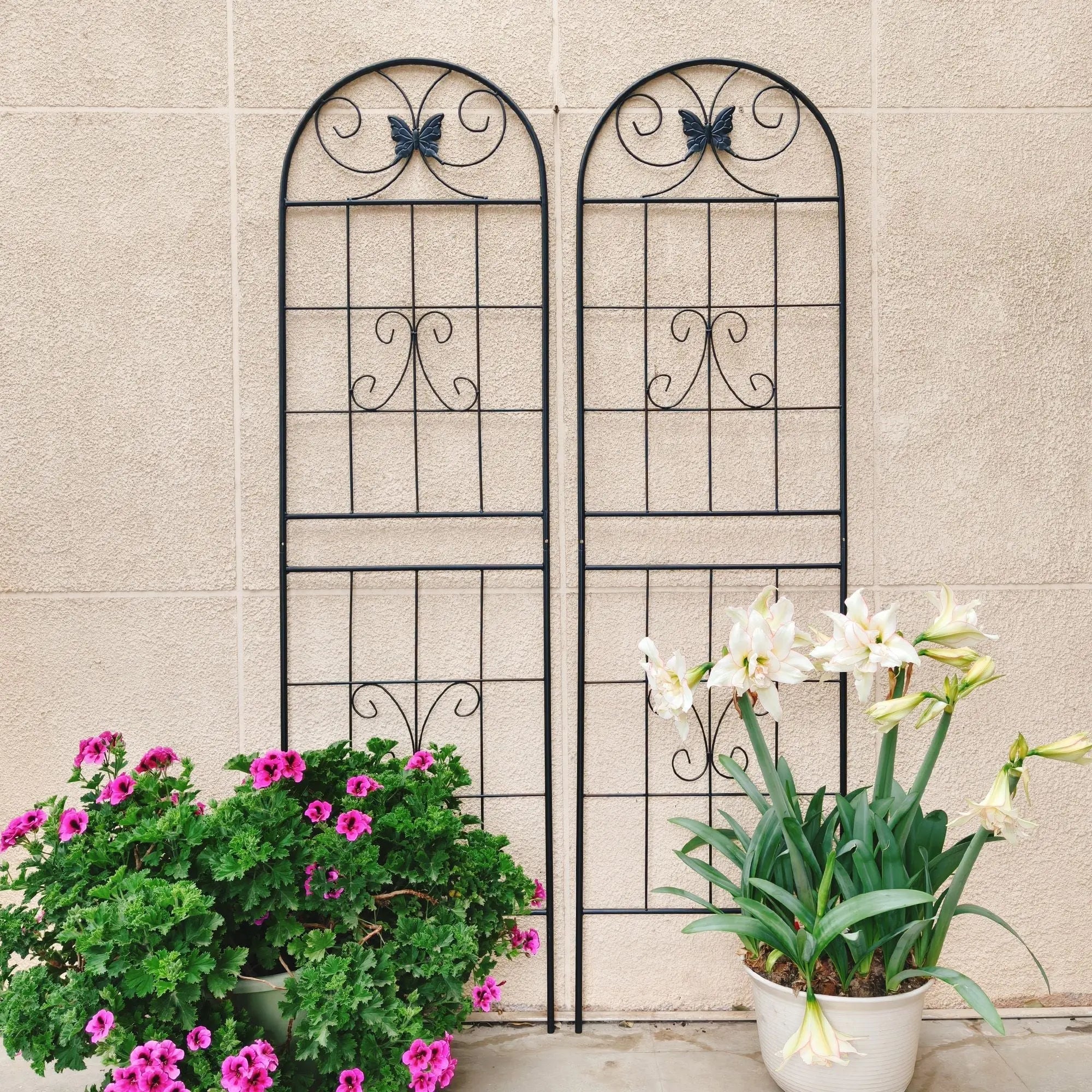 4 Pack Metal Garden Trellis 71" x 19.7" Rustproof Trellis for Climbing Plants Outdoor Flower Support Black - Cool Brand Designs