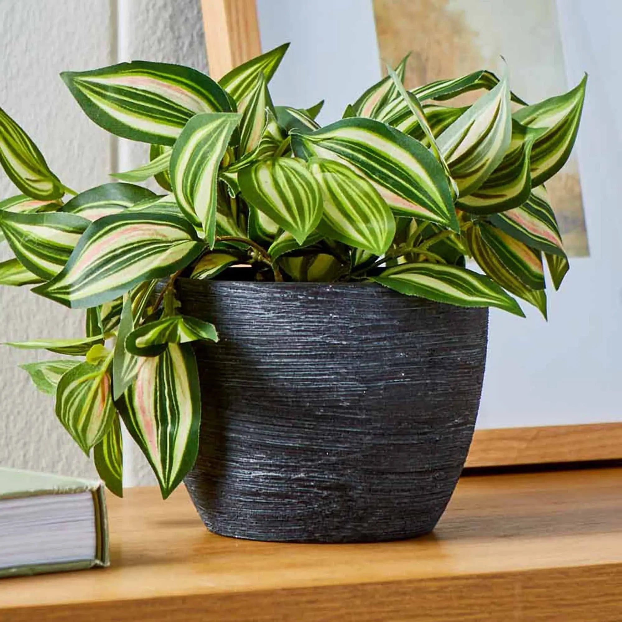 (4 pack)4.5" Textured Matte Ceramic Pot, Black, 1 - Piece - Cool Brand Designs