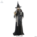 Animated lunging haggard witch - Cool Brand Designs