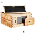 Bee Hive Deep Box Starter Kit, 100% Beeswax Coated Natural Fir Wood, Langstroth Beehive Kit with 10 Frames and Foundations, Transparent Acrylic Bee Windows for Beginners and Pro Beekeepers - Cool Brand Designs