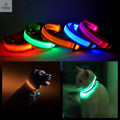 Color: BLUE,Size: SMALL - LED PET Safety Halo Style Collar - Cool Brand Designs