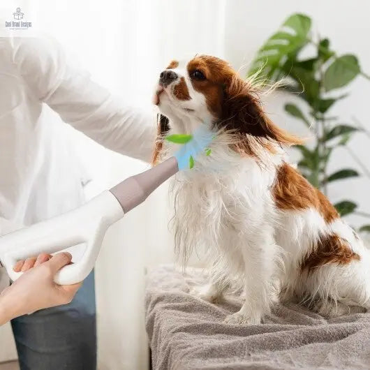 Dog Cat Hair Blower with Negative Ion Function and Adjustable Temperature - Cool Brand Designs