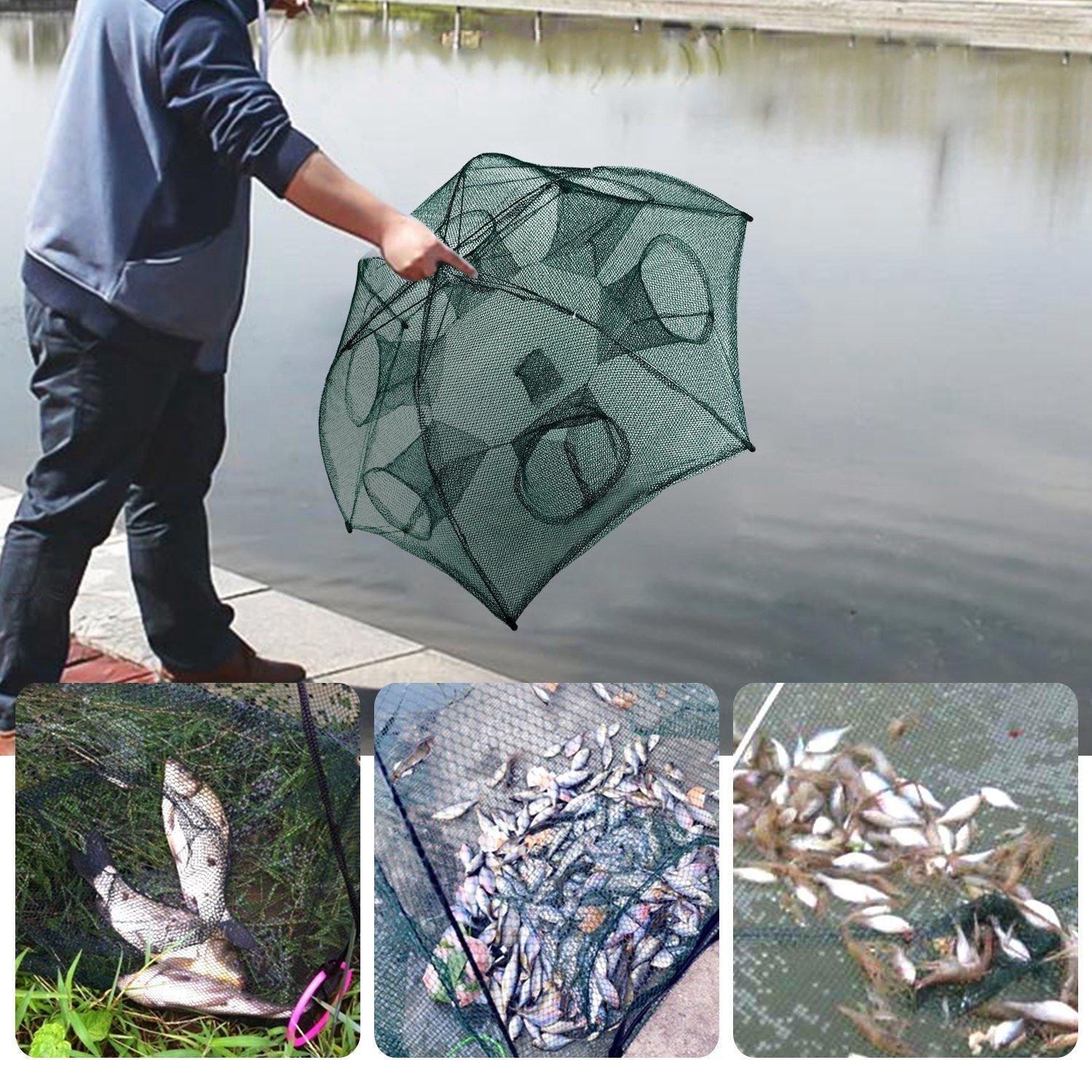 Fishing Trap Net Portable Folded Fishing Bait Trap Shrimp Minnow Crab Bait Net 6 Sides 6 Holes Crayfish Cast Mesh Trap Automatic - Cool Brand Designs